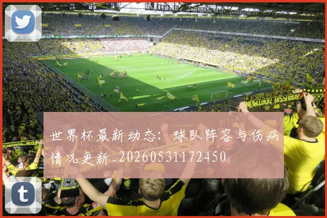 世界杯最新动态:球队阵容与伤病情况更新_20260531172450