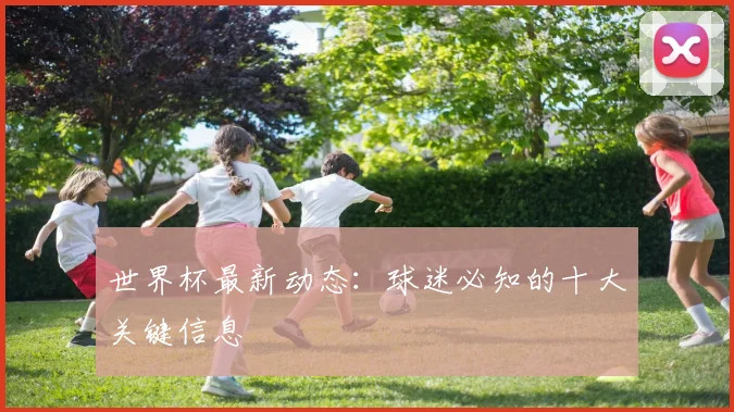 世界杯最新动态:球迷必知的十大关键信息