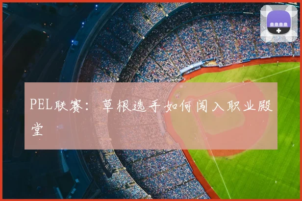 PEL联赛：草根选手如何闯入职业殿堂